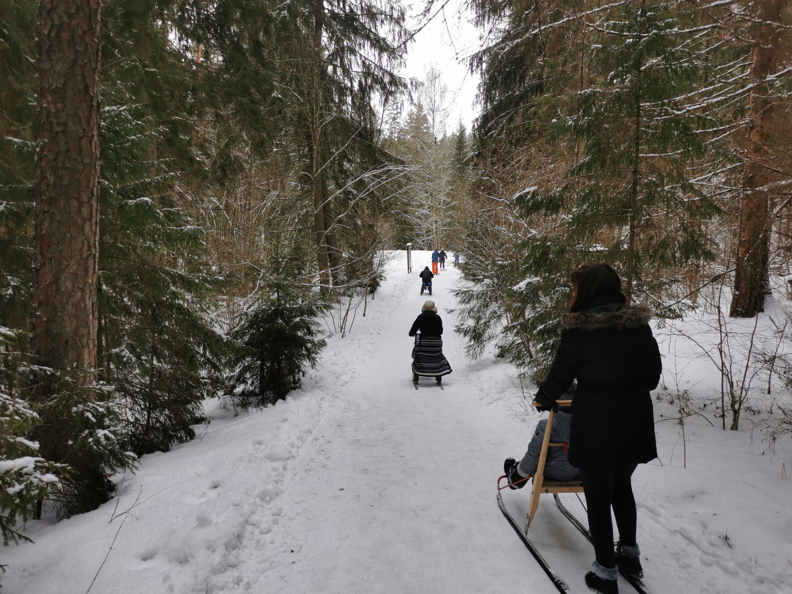 Lokko matkad, tõukekelkudega rajal